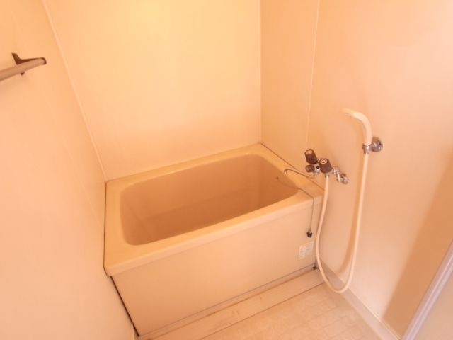 Bath. Bathroom with cleanliness