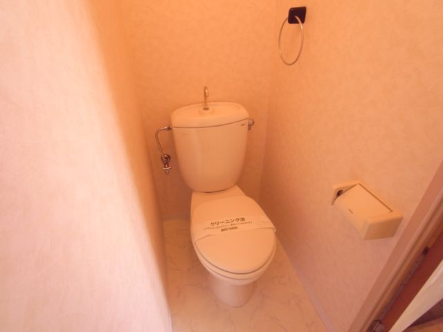 Toilet. Towels hung