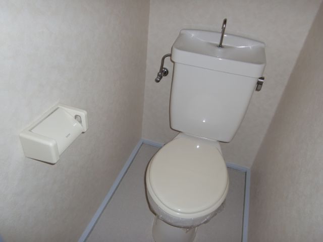 Toilet. Toilet with cleanliness