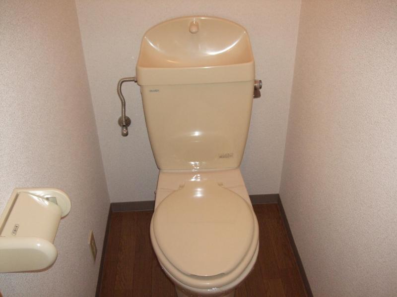 Toilet. Isomorphic type