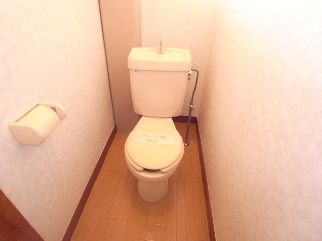 Toilet. Toilet with cleanliness