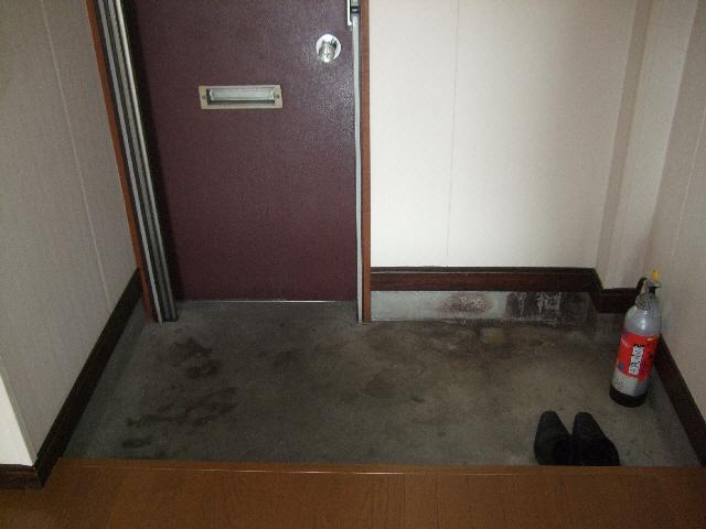 Entrance. Isomorphic type