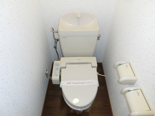 Toilet. Warm water washing toilet seat