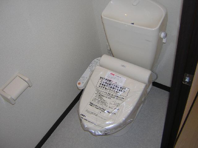 Toilet. Isomorphic type