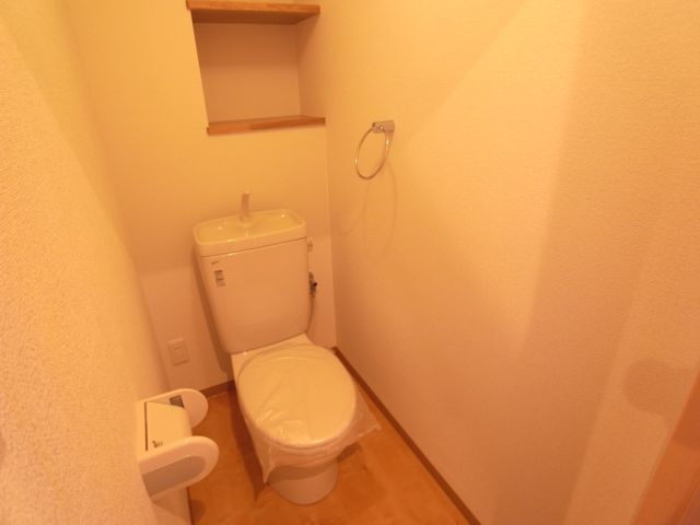 Toilet. Toilet with storage space