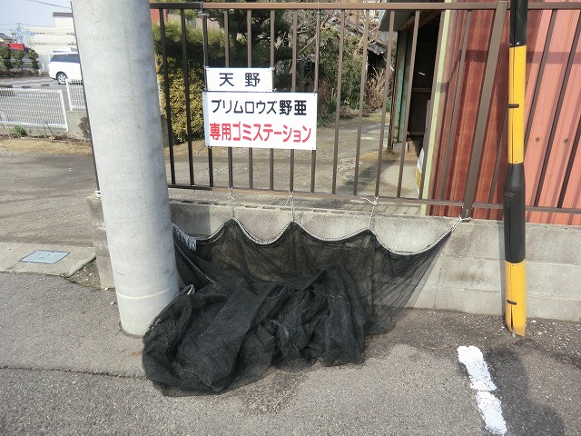 Other