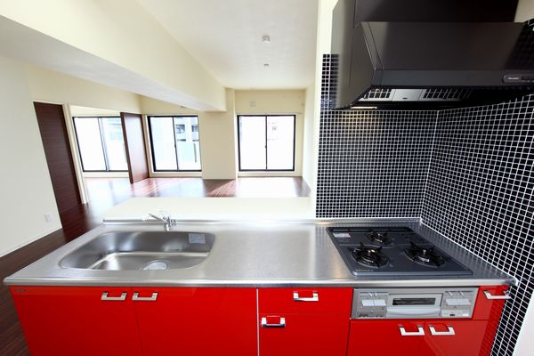 Kitchen. Face-to-face kitchen. Two-burner stove. Rear suspension housed there