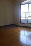 Living and room. Living