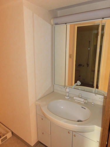 Washroom. Vanity with a shower head