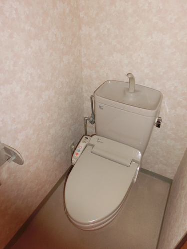 Toilet. Toilet with a wash function