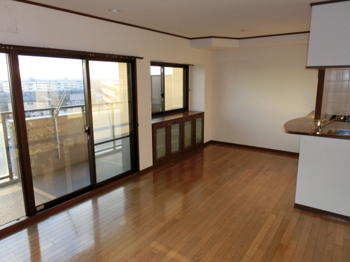 Living and room. Living-dining (another angle)