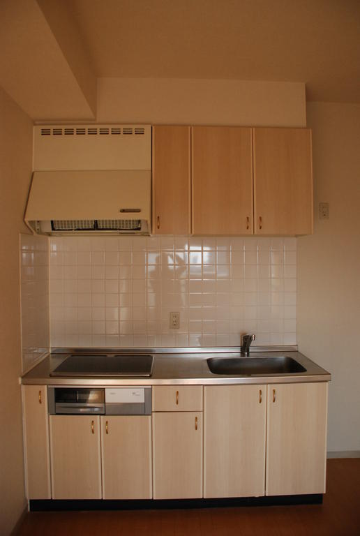 Kitchen. All-electric system Kitchen