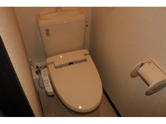 Toilet. Isomorphic type