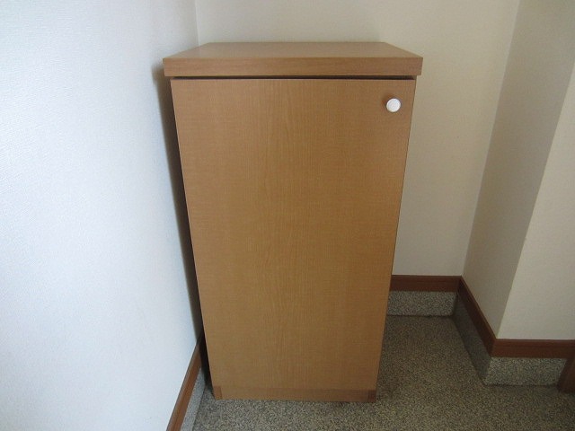 Entrance. Cupboard