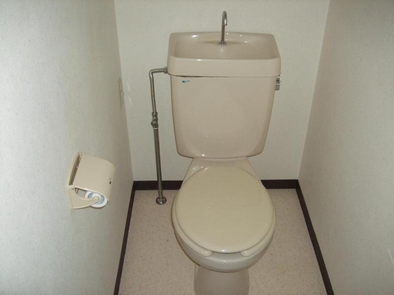 Toilet. Isomorphic type