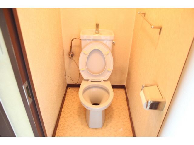 Toilet. Isomorphic type