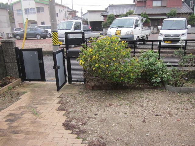 Garden. Local (12 May 2013) Shooting