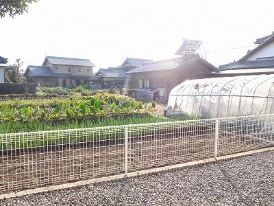 Other. Day is good because there is no building on the south side