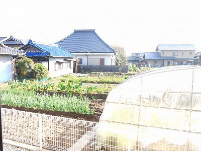 View photos from the dwelling unit. The south is seen is laid-back scenery in the field.