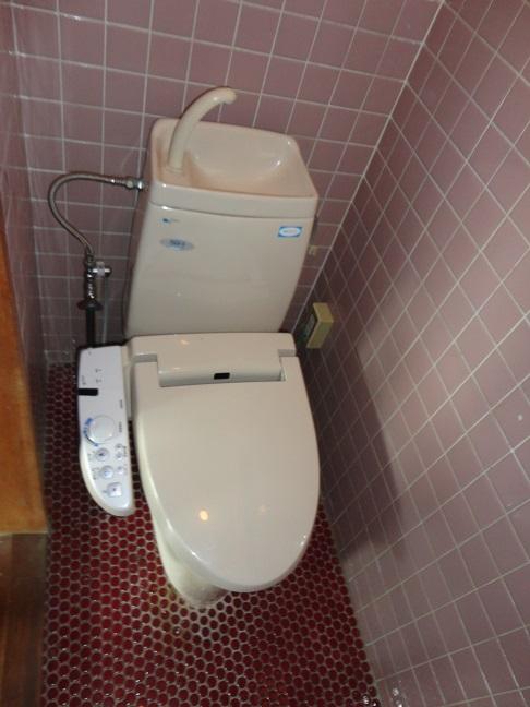 Toilet. Indoor (10 May 2013) Shooting