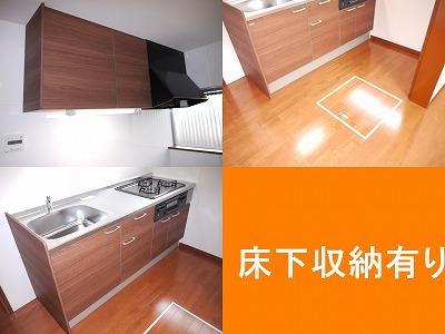 Kitchen. There is under-floor storage