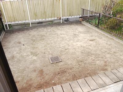 Garden. Local (12 May 2013) Shooting