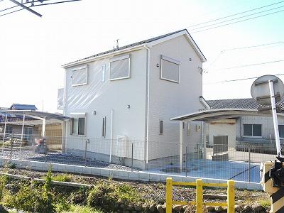 Local appearance photo. Line is along the