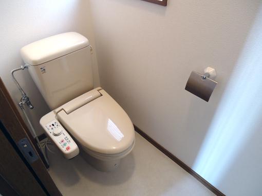 Toilet. Of course, warm water washing toilet seat with