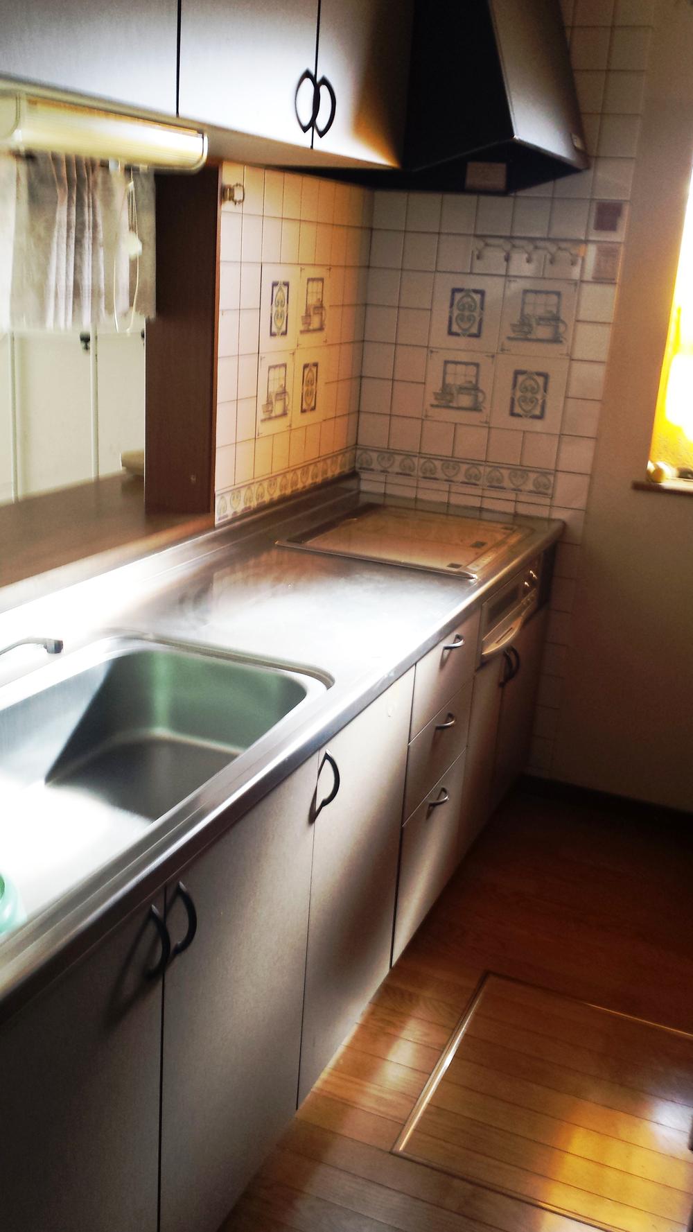 Kitchen. Indoor (11 May 2013) Shooting