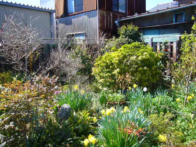 Local appearance photo. Garden