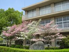 Primary school. 1669m until Kariya Municipal Asahi Elementary School