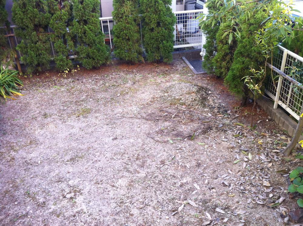 Local (25 December) shooting