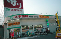 Other. Cedar pharmacy Shinkawa store up to (other) 2049m