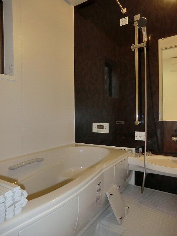 Bathroom. Local (July 2013) Shooting