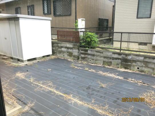 Garden. Local (September 2013) Shooting