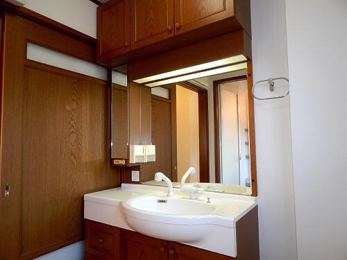 Wash basin, toilet. Bathroom vanity