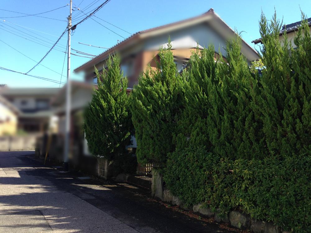 Local photos, including front road. Local (10 May 2013) Shooting North front road