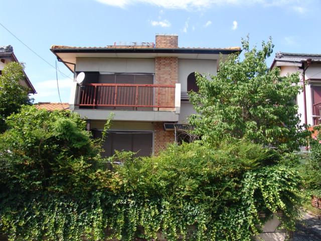 Local appearance photo. Local (July 2013) Shooting