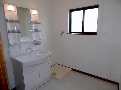 Wash basin, toilet. Vanity 1