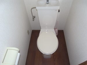 Toilet