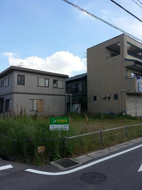 Local land photo. Local (May 2013) Shooting