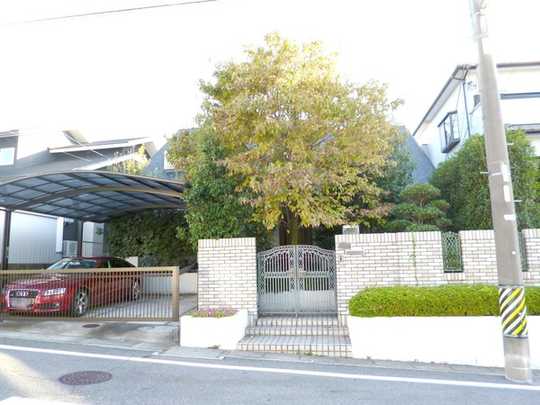 Local appearance photo