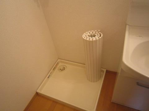 Other room space. Laundry Area