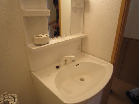 Washroom. Bathroom Vanity