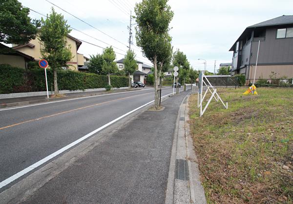 Local photos, including front road. Local (July 2013) Shooting