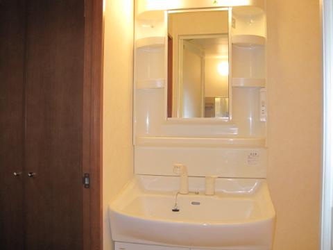 Washroom. Bathroom Vanity