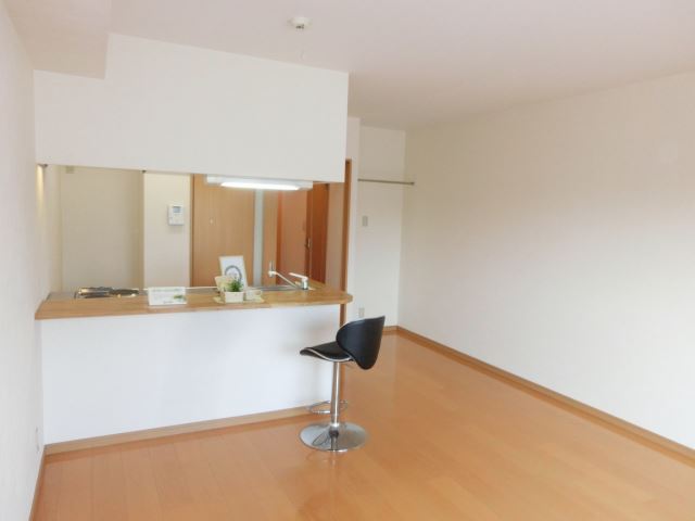 Living and room. Washing machine Storage