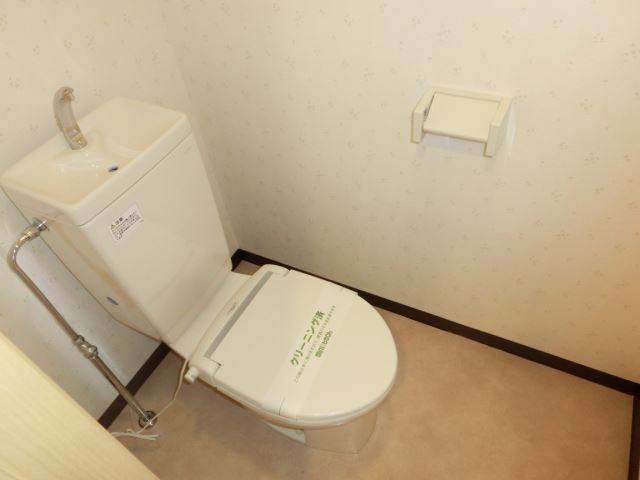 Toilet. Popular face-to-face kitchen