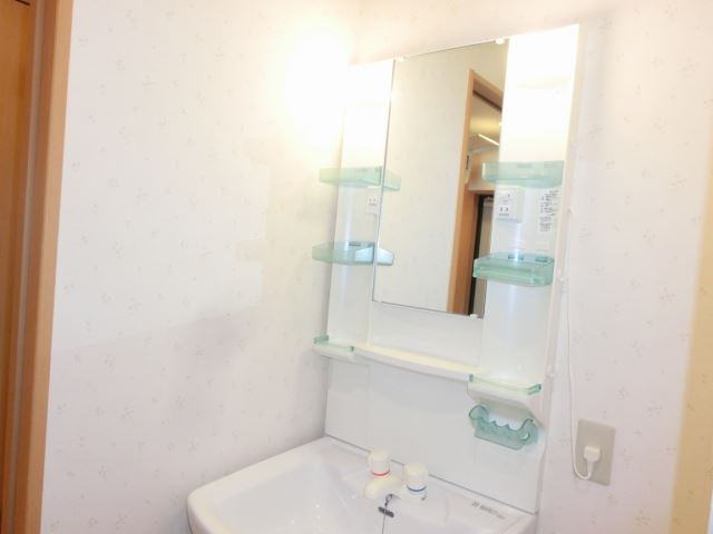 Washroom. Two-burner stove in the kitchen