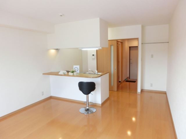 Living and room. Wide and bright rooms